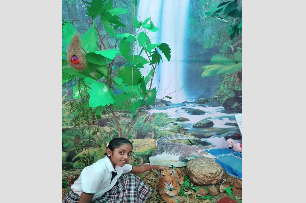 Pincushion Montessori International School, Vellore