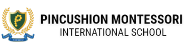 Pincushion International School