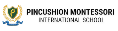 Pincushion International School